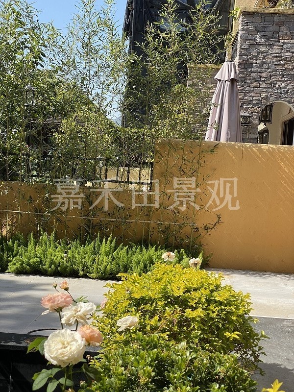 別墅花園的養(yǎng)護(hù)技巧包括哪些方面？